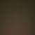 Carolyn